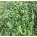 산해농장 이미지