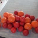 송산로4길 이미지