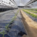 정수농장 이미지