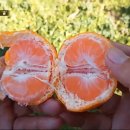 월송농장 이미지