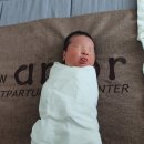 파주 운정 뉴 아모르 산후조리원 2주 내돈내산 후기(꼬맹이와의 육아전쟁)
