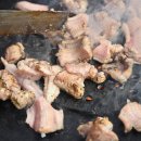 경북곰장어 이미지