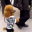 하늘슈퍼 이미지