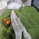 돌고래회식당 이미지