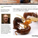 마취독 ‘주사’ ... 지네 잡는 ‘드라큘라 개미’ 이미지