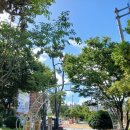 목포부설초등학교정문 이미지