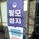 사과나무약국 | 탈모성지 병원 탈모약 2편 [부작용 등]