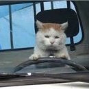 석산2길 이미지