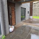 디나우스 이미지