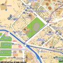 아비숑(B) Daum카페