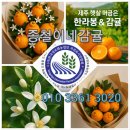 제주위미농협주유소 | 위미농협산악회 완도수목원 탐방이야기