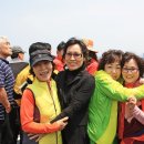 하모니플라워
