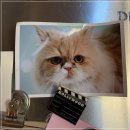 본미미 민박 이미지