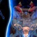 직지한의원 이미지