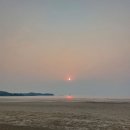 신두리해안사구 이미지