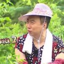 돼지금고