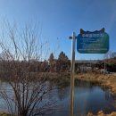 용둔초등학교 이미지