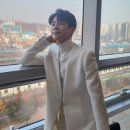 가온나무 이미지