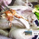 우치농장 이미지