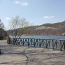 몰댄동산