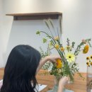 플로피아 이미지