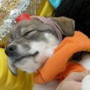 재우기획