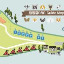 중독(DOG) 이미지