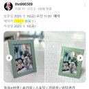 마이온펫