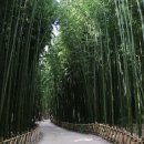 솔솔바람 이미지