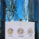 비래동 산림조합 이미지