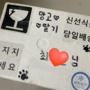 멍스하우스 이미지