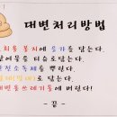 에떼르넬 슈슈 이미지