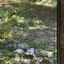 의림여관 이미지