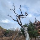 면목동-133 | 의정부점집 산신당 후기｜신점이 이렇게 현실적일 수 있구나