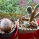 천국모텔 이미지