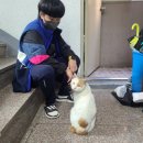 TEAM H BOXING 이미지