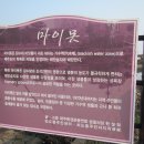 대포포구2 티스토리