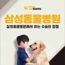양구동물병원