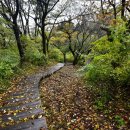 창암목장 이미지