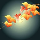 단풍 일러스트 이미지