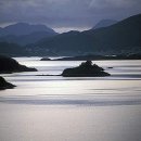 노르웨이의 숲 이미지