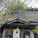 디엔골프팩토리 | 구마모토 4박 5일 여행 코스 총정리 ✈️ 아소산 + 골프 + 맛집 완벽 일정 ✔️1인당 경비 얼마나 들었을까? ✔️