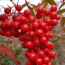 남천식품 이미지