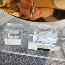 심심출출 이미지