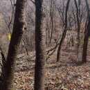 차산2리 이미지