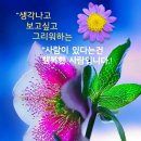 이춘식농장 Daum카페
