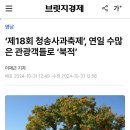 [브릿지경제] ‘제18회 청송사과축제’, 연일 수많은 관광객들로 ‘북적’ 이미지