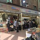 미나리광 이미지