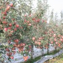 성보산업 이미지