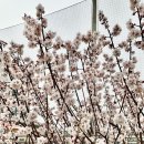 운동화빠는날 이미지